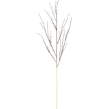 54" Birch Stick