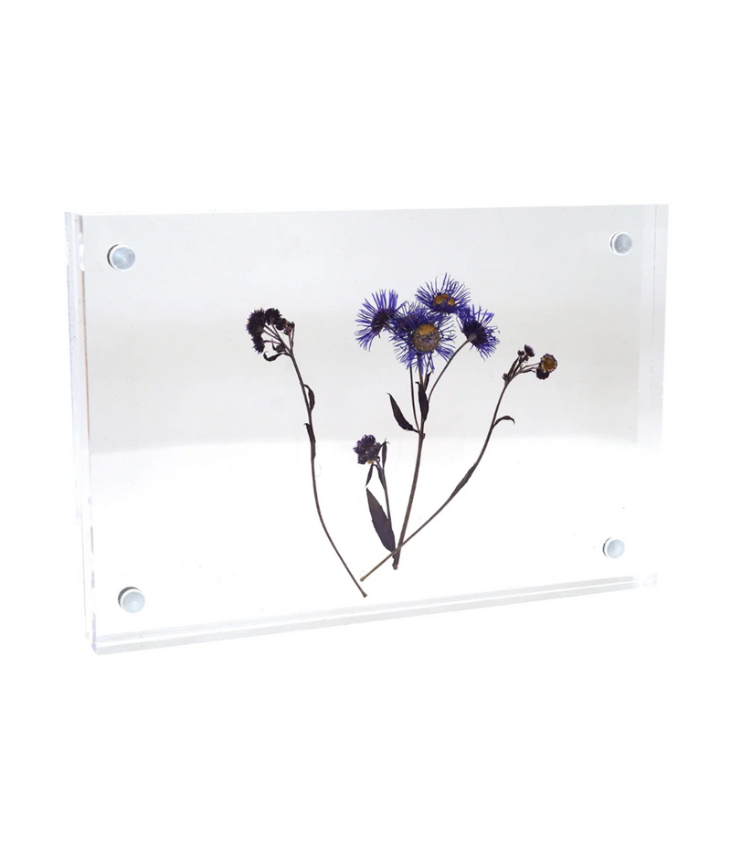 Acrylic Standing Frame- 4"x6"