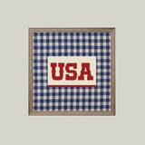 Plaid USA Artwork