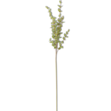 38" Mini Heart Eucalyptus Spray