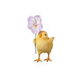 Spring Chick w/ Flower