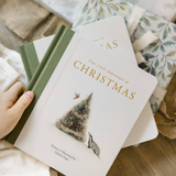 Our Little Adventure at Christmas