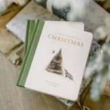 Our Little Adventure at Christmas