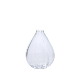 Viola Budvase