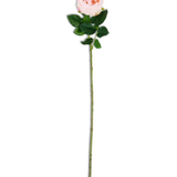 24" Pink Real Touch Austin Rose Stem
