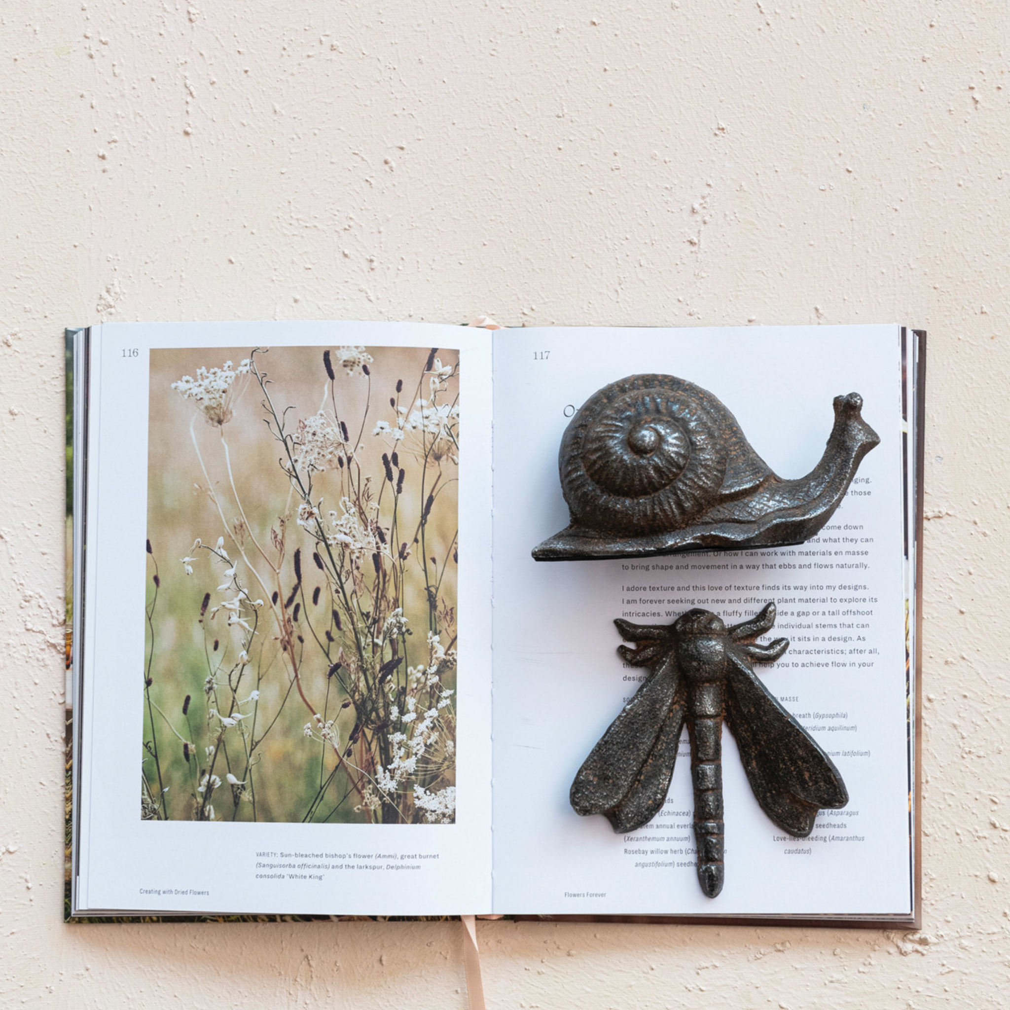 Cast Iron Snail