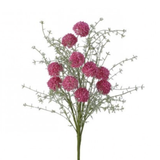 24" Wild Allium Bush