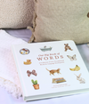 Our Big Book Of Words
