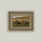 Sheep Landscape