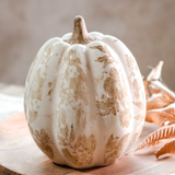 Beige Heirloom Pumpkin