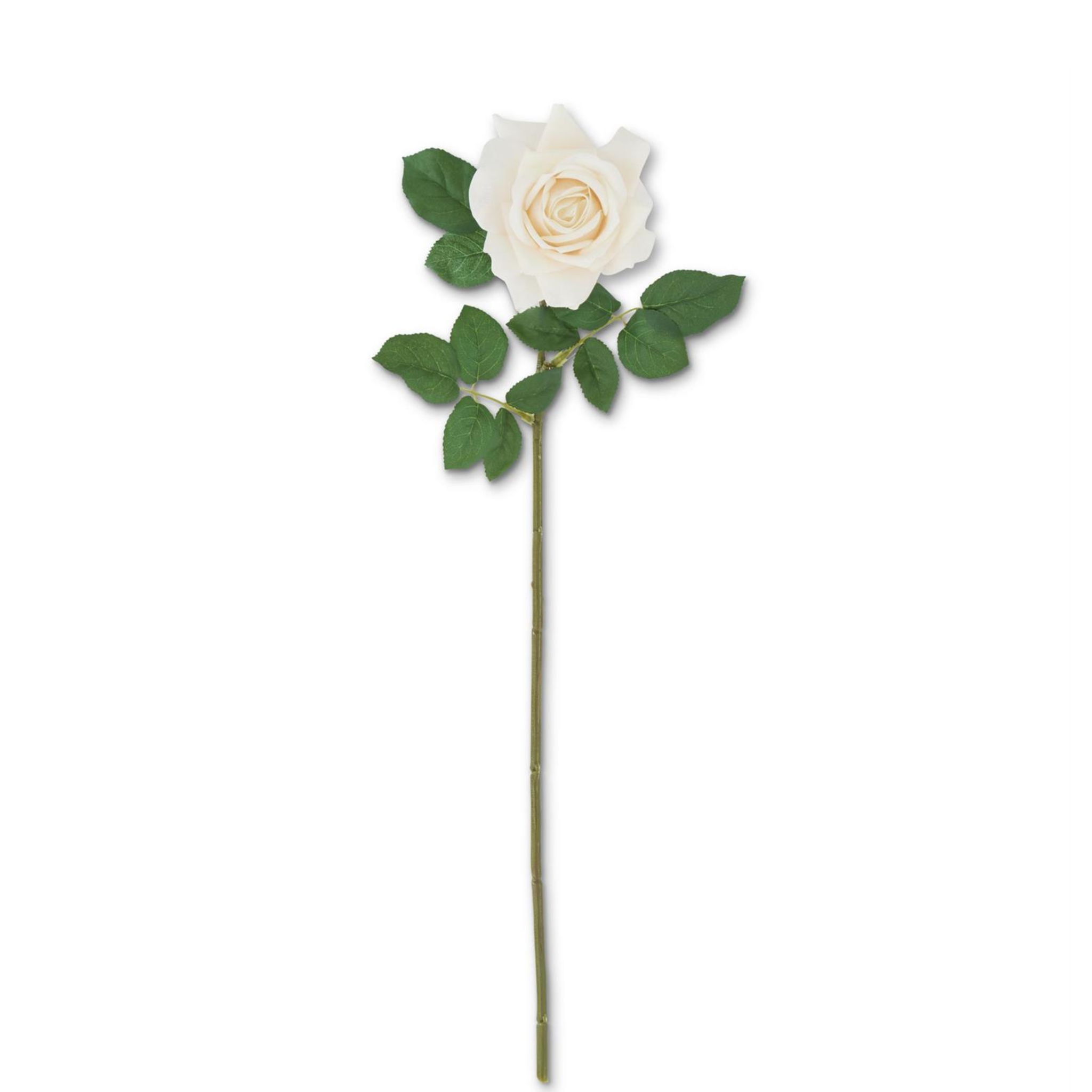 25" Real Touch Duchess Rose Stem