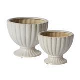 Coronation Compote