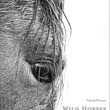 Wild Horses of Cumberland Island