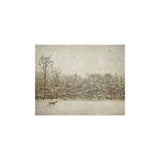 Winter Fawn Artist Board