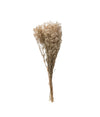 Dried Natural Baby's Breath Bunch