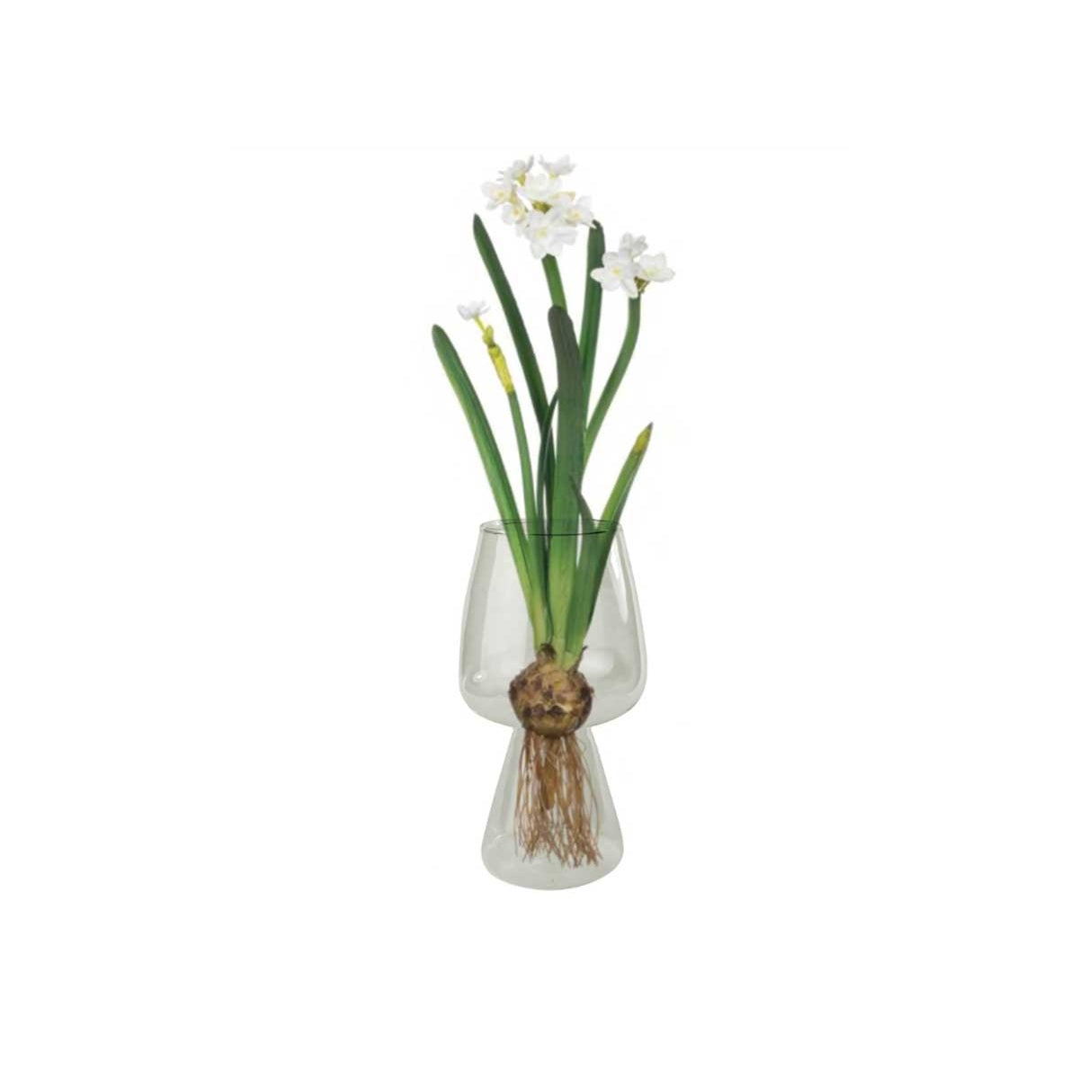 Glass Bulb Vase