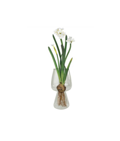 Glass Bulb Vase