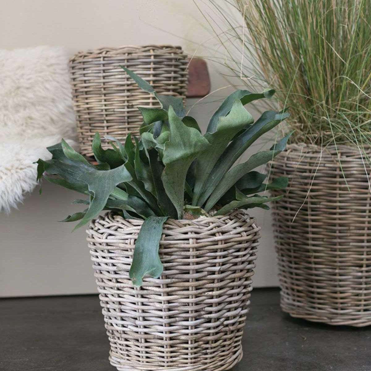 Rattan Large Basket