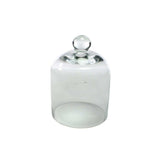 Small Glass Cloche