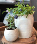 Speckled Ceramic Pot
