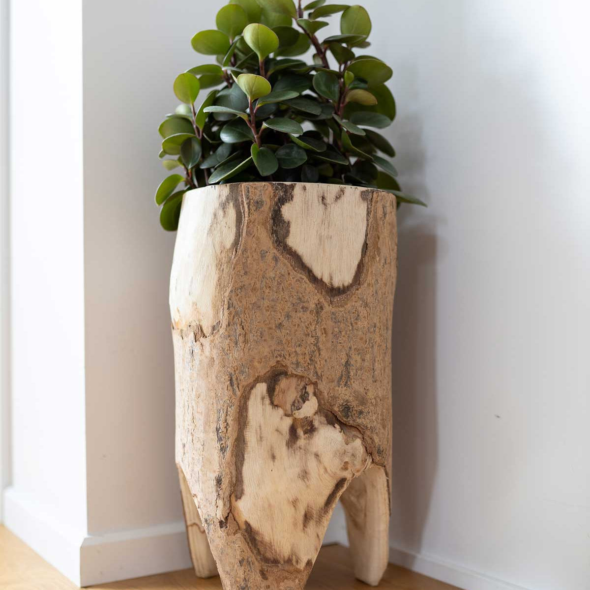 Forestland Planter