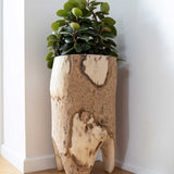 Forestland Planter